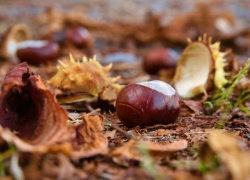 Во вторник в Молдове будет облачно, осадки маловероятны 