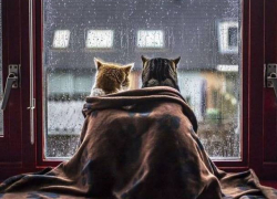 В среду в Молдове еще похолодает  