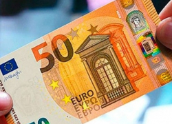 50 евро за сигнал: власти подключают граждан к борьбе с чумой свиней