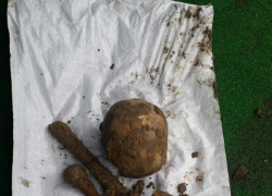 Во дворе дома Илана Шора найдены человеческие останки 