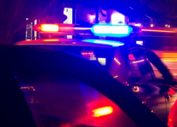 На берегу озера в Кишиневе найден труп повешенного мужчины 