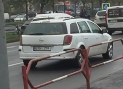 Водитель-живодер дважды переехал собаку в Кишиневе