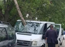 В Кишиневе дерево пронзило лобовое стекло автомобиля, словно копье