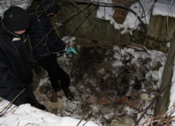 Жуткое убийство в Кагуле: мужчина расправился с приятелем стаканом и бросил труп выгребную яму