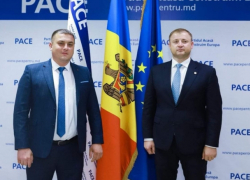 Брат "зеленочного агрессора" работает в полиции - блогер