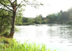 Прыжок с дерева в реку завершился для подростка госпитализацией 