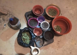 Братья-наркоторговцы из Страшен были схвачены в результате спецоперации