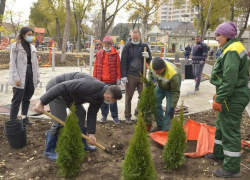 Сквер на улице Заикина в Кишиневе украсят особенные деревья и кустарники  