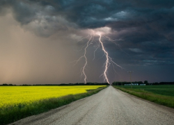 Маленькая девочка погибла от удара молнии, собирая клубнику в Чадыр-Лунгском районе 