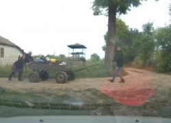 В Дондюшанском районе лошадиные силы заменили человеческими