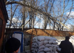 На Рышкановке мужчине потребовалась медицинская помощь после того, как на него упали сорванные ветром ветки