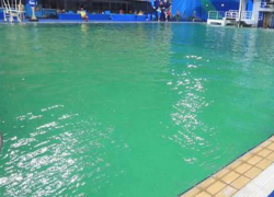 Труп охранника обнаружил на территории столичного бассейна его напарник