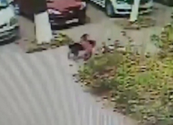 В Вадул-Луй-Водэ 2-летнего ребенка искусала собака