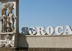 В Сороках врач хладнокровно застрелил мешавшую ему собаку