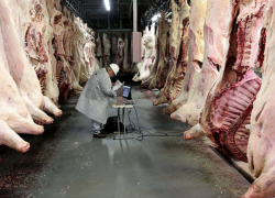 Молдавский ветеринар продавал справки в 15 раз дороже госрасценок