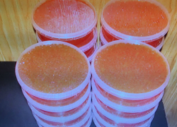 Меховые шубы и икру прятал в тайнике проводник поезда «Москва - Кишинев» 