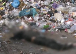 Мертвого мужчину вытащил за ногу искатель костей в Кишиневе и показал на видео