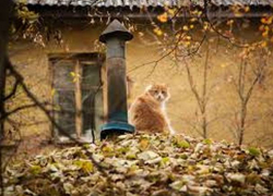 В четверг в Молдове будет до 6 градусов мороза ночью и до 15 градусов тепла днем  