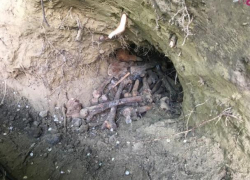 Позади посольства США в Кишиневе найдены человеческие останки