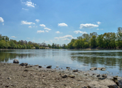 Законопроект PAS о развитии судоходства ставит под угрозу экосистемы рек Днестр и Прут, - экологи