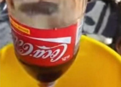 Отвратительное дохлое животное в бутылке Coca-Cola сняли на видео