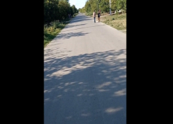 На юге Молдовы спасу нет от автомобилистов-лихачей, а полиция бездействует