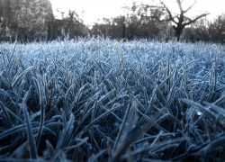 На Молдову надвигается похолодание