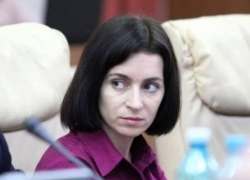 Цырдя: спрут СМИ Сороса день и ночь дискредитирует оппонентов