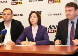 Богдан Цырдя: Иди на поклон к Санду, и тебе простят все