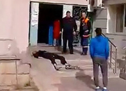 Погибшего при падении с 13-го этажа жилого дома на Ботанике мужчину сняли на видео