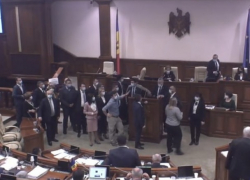 Депутаты ACUM устроили в парламенте цирковое представление