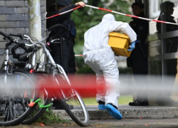 Гражданка Молдовы рассказала прессе о том, как в Германии мать убила пятерых своих детей 