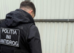 Марихуана на 200 тысяч леев: В Теленештах задержали наркоторговцев