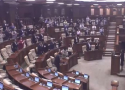 PAS-овцы стоя хлопали 40-минутному выступлению Санду в парламенте