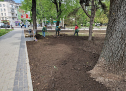 Субботнее ограничение в Кишиневе: ул. Рэдэуцану закроют до вечера