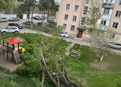 В Молдове оранжевый код из-за сильнейшего ветра