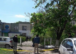 На Ботанике упавшее дерево убило сотрудника школы. Чебан: А Киртоакэ говорил, что в школах все в порядке