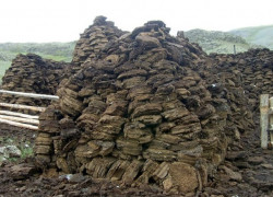 Жители Молдовы готовы вернуться к кизяку: цены на газ и дрова шокируют население