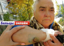 В Бельцах 78-летнюю старушку едва не загрызли бродячие собаки