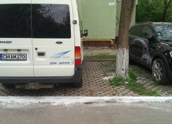 В Кишиневе вместе с деревьями белят машины, траву и асфальт