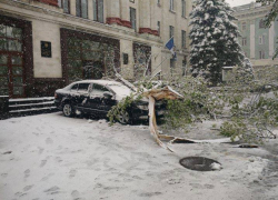 На автомобили двух сотрудников Счетной палаты упало дерево