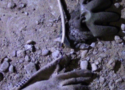 Жуткая гибель: бетономешалка с электропроводом убила мужчину под Дубоссарами