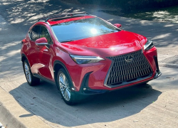 Домника Маноле купила себе новый Lexus