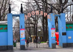 Молодой человек, получивший в зоопарке Харькова переломы костей таза и плеча, ушел из жизни