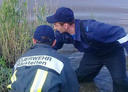 Тело молодого мужчины обнаружили в реке в Сынжерее