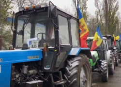 Богдан Цырдя раскрыл истинную подоплеку «протестов фермеров»