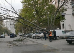 Упавшее на линию электропередач дерево по улице Христо Ботева перекрыло движение транспорта