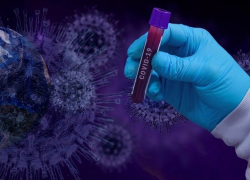 В Молдове выявлено 977 новых случаев COVID-19