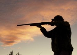 Житель Шолданешт проснулся и понял, что его хотел убить приятель