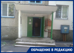 Жителей жилой многоэтажки в Кишиневе терроризируют … блохи